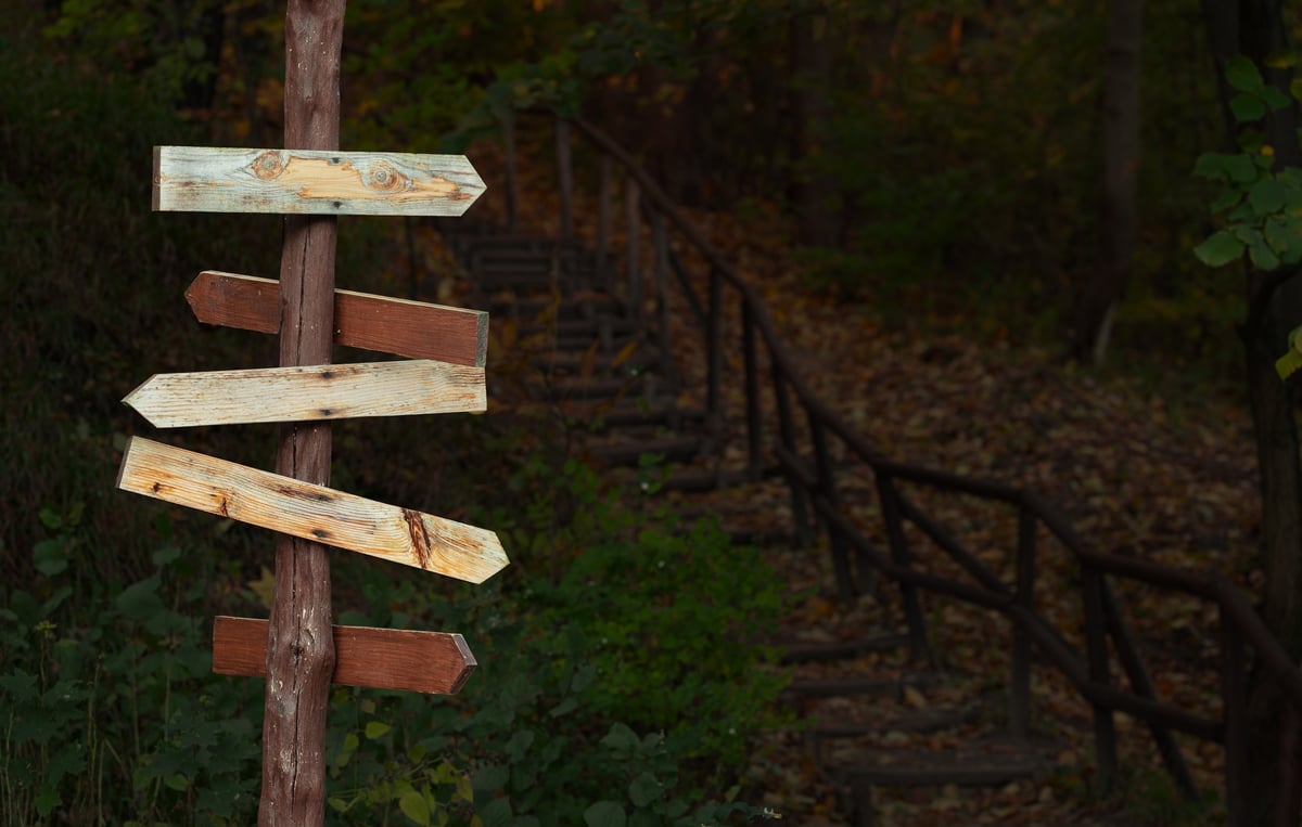 A weathered wooden signpost with blank arrow signs standing at a fork in a forest path, symbolizing the choices and direction in life